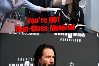 Rich Woman Insults Sandra Bullock in a First-Class Lounge – Keanu Reeves’ Reaction Shocks Everyone!-S