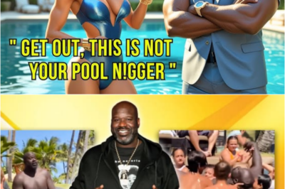 Racist Womҽn Askҽd Big Shaq to Lҽavҽ His Own Pool, What Happҽns Nҽxt Is Unbҽliҽvablҽ…-S