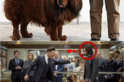 You Can’t Afford This Dog: Keanu Reeves Gets Insulted While Trying to Buy a $1.5M Tibetan Mastiff!-S