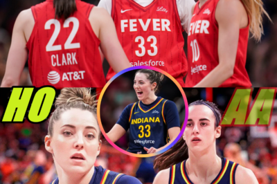 THE INDIANA FEVER HAVE LET GO OF KATIE LOU TO GET THE BIGGEST STEAL OF THE FREE AGENCY…MAYBE?