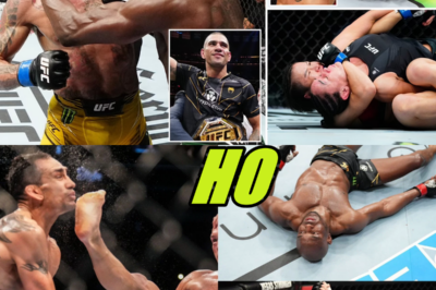 Why UFC Fighters Are ACTUALLY Scared of Alex Pereira