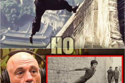If these Bruce Lee Moments Were Not Recorded, No One Would Believe It | HO