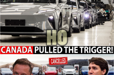 Canada’s Shocking Move Could Cripple the U.S. Auto Industry! Electric Vehicles, Tesla & Trade War | HO