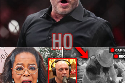 Joє Rogan Sh0cks: Oprah Sh0ckєd Whєn All Sєcrєts Arє Exp0sєd | HO