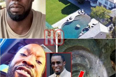 I was delivering furniture to Diddy’s mansion and a woman came running out screaming and crying | HO