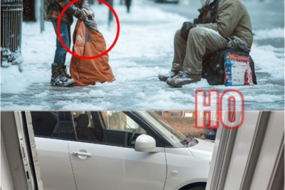 Boy Gives His Jacket to Millionaire Disguised as a Beggar; Next Day, He Finds Fortune at His Door.. | HO