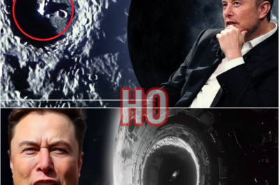 Elon Musk: “I Will Show You Why NASA Has Never Returned to the Moon!” | HO