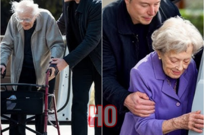 Elon Musk Steps In to Help Elderly Couple Into Their Car – What He Does Next Will Bring You to Tears | HO