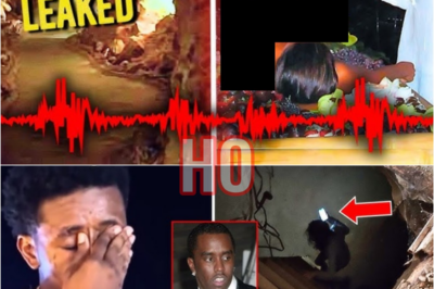In 2018, I Worked As A Waiter For Diddy And Was In A Tunnel Where I Found A Box Of Photographs | HO