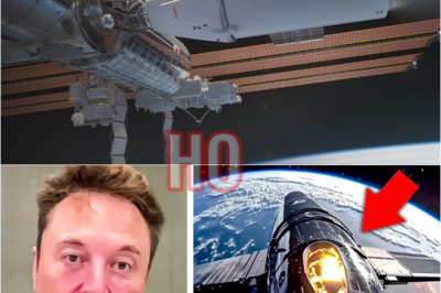 Elon Musk JUST REVEALED SpaceX’s New Space Station That SHOCKS NASA! | HO
