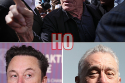 Elon Musk JUST HɄMILIATED Robert De Niro & Sent Him Into A MELTD0WN! | HO