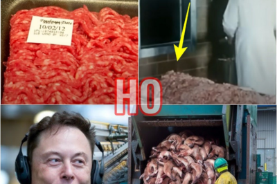 Elon Musk: “You Will Never Eat This Again After Knowing How It`s Made” | HO