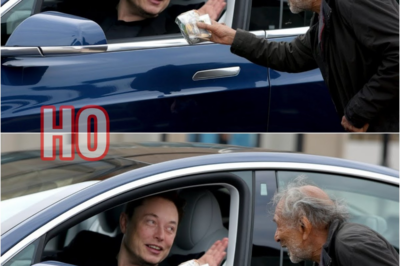 Beggar Waves To A Man Inside The Car Unaware It Was Elon Musk, What Happened Next Changes Everything | HO