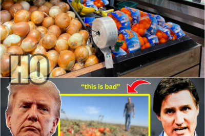 Canada FINALLY Hits the US Where It Hurts the Most—The US Food Sector at the Verge of CØLLAPSE! | HO