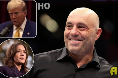 Joe Rogan teases ‘receipts’ proving Kamala Harris teamed up with ‘lying’ NBC journalist to claim he sabotaged interview