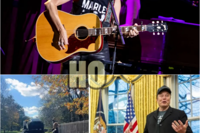 Elon Musk has spoken out angrily after Sheryl Crow made a bold statement: Selling her Tesla to protest Elon Musk, calling him ‘a problem’ and donating all the money to NPR to support independent journalism!  | HO