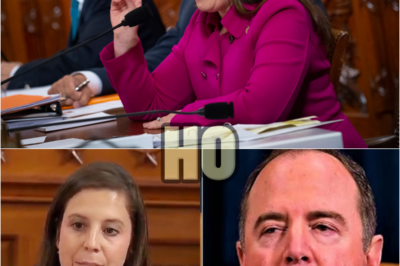 Adam Schiff Left STɄNNED as Elise Stefanik DEMØLISH his lies in Congress | HO