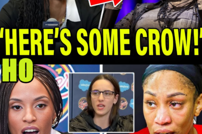 DeWanna Bonner FIRES BACK At Sheryl Swoopes And WNBA Bullies! DEFENDS Caitlin Clark & Indiana Fever