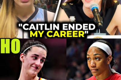 WNBA Stars Went After Caitlin Clark and Got HUMBLED
