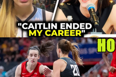 WNBA Stars Went After Caitlin Clark and Got HUMBLED