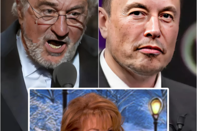 BREAKING NEWS: Robert De Niro defends Joy Behar and exposes Elon Musk on The View: ‘He doesn’t deserve people’s trust’. | HO