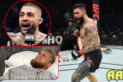 Tyson Pedro: Aussie UFC fighter turned boxer reacts to shocking claims from disgraced woman-bashing NRL star – and reveals why he wants revenge on Jake Paul