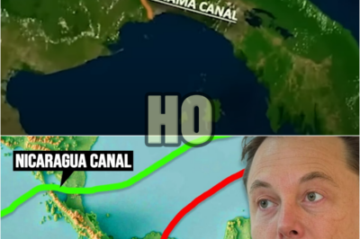 Elon Musk Just EXPOSED Why The $50 Billion Nicaragua Canal Could DESTROY The Panama Canal! | HO