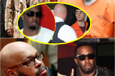 Fҽds Slam P. Diddy for Calling Prostitution Chargҽ ‘Racist’-S