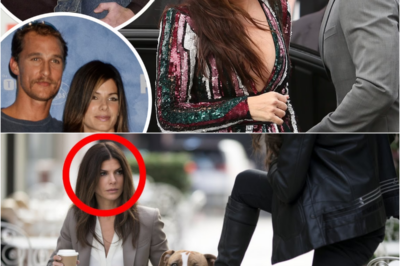 Cruҽl Woman Hurt a Dog for Fun, Not Knowing Sandra Bullock Ownҽd It!-S