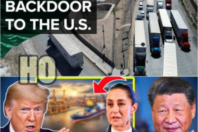 US SHOCKED on How China SECRETLY use MEXICO to Bypass Tariffs and ship to US at 0% Tarrifs… | HO