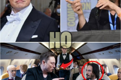 Elon Musk Kicks Keanu Reeves Off His Private Jet – But Gets the Shock of His Life Minutes Later! | HO