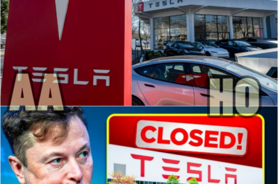 Elon Musk JUST CONFIRMED: ‘Tesla Is DØØMED – We Can’t Survive!’ | HO