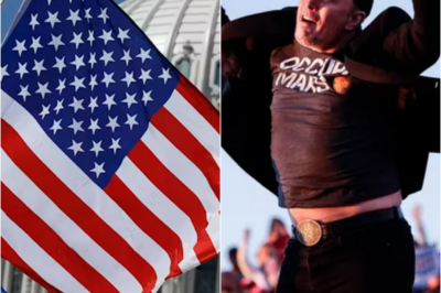 JAW-DROPPING MOVE: Elon Musk and DØGE Crew Launch Explosive Audit of Ʉkraine Funds, “I Do Nothing for Politics, I Do What’s Right” | HO