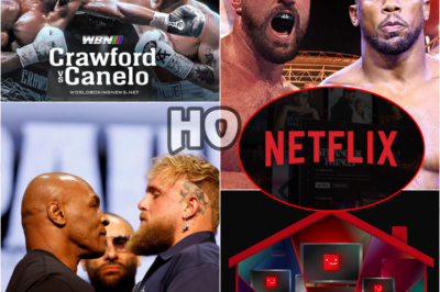 Netflix Targets Canelo Alvarez vs. Terence Crawford and Anthony Joshua vs. Tyson Fury After Jake Paul vs. Tyson