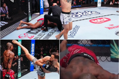 UFC fans stunned as King Green is knocked out cold by devastating Mauricio Ruffy kick two minutes into bout