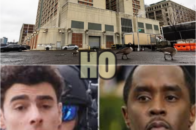 EXCLUSIVE – Sean ‘Diddy’ Combs and Luigi Mangione on lockdown as ‘rαce ri0t’ erupts in Brooklyn federal jail | HO 