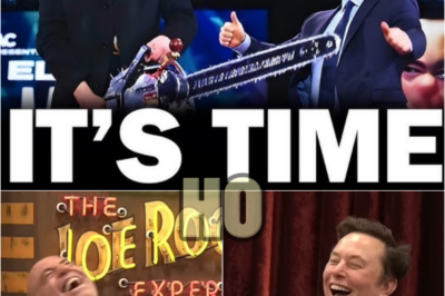 Elon Musk shocks the country as he reveals the ‘biggest Ponzi scheme of all time’ he’s unmasked through DOGE | HO