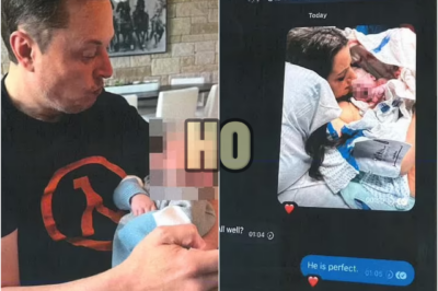 Elon Musk’s baby mama Shivon Zilis reveals DOGE head’s 14th alleged child and his very unusual name | HO