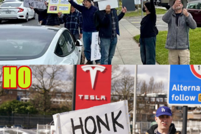 Anti-Elon Musk Protesters Prepare for Global ‘Tesla Takedown’ Day