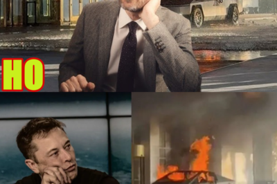 Is Elon Musk’s Business Empire Collapsing?