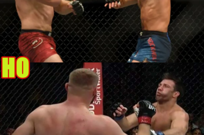 Jan also ENDS Luke Rockhold’s LHW Career