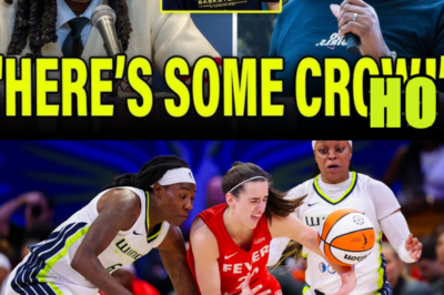 New Fever Star Natasha Howard DIDN’T HOLD BACK On Caitlin Clark & Indiana Fever DEFENSE!