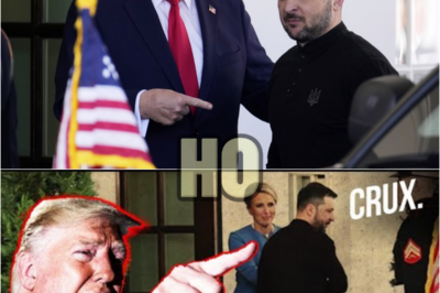 ‘Get Lost’: Trump’s SHOCKING Swipe After Clash With Zelensky Inside Oval Office | Watch | HO