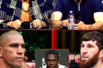 Alex Pereira Gets ANGRY… Reporter DISRESPECTS Pereira (UFC 313 Press Conference Reaction)