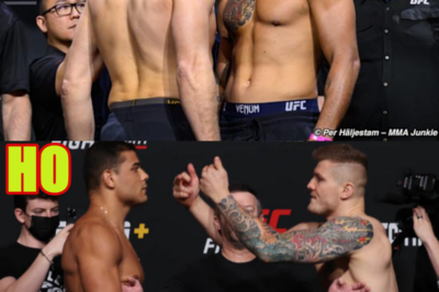 UFC London Full Card Final Faceoffs | UFC Fight Night 255 Ceremonial Weigh-ins