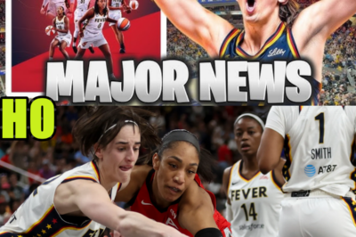 Fever Just Made An INCREDIBLE ANNOUNCEMENT About Free Agency!