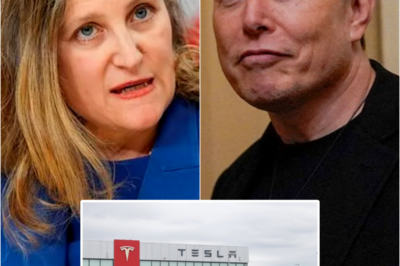 ‘100% tariffs on Teslas’: Canadian PM candidate reveals tariff response plans against U.S. | HO