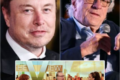 Elon Musk Unleashes Hell: After Robert De Niro’s Savage ‘Woke Kid’ Slam on ‘The View,’ the Tesla Tycoon’s Jaw-Dropping Retaliation Rocks Hollywood and Ignites a Live TV Trainwreck! | HO