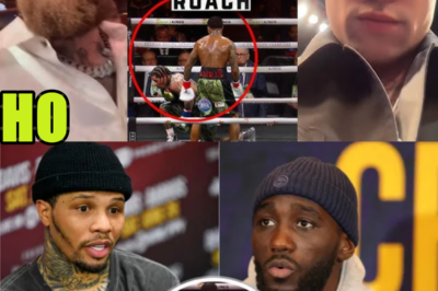 “HE CHEATED” Fighters React To Gervonta Davis vs Lamont Roach DRAW