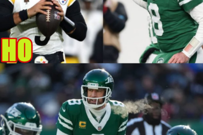 Aaron Rodgers? Sam Darnold? 🤔 Debating Steelers’ BEST QB OPTION to Pair with DK Metcalf